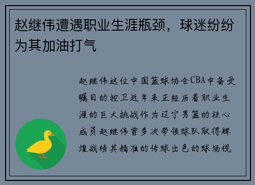 赵继伟遭遇职业生涯瓶颈，球迷纷纷为其加油打气